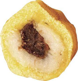 Rice Cake